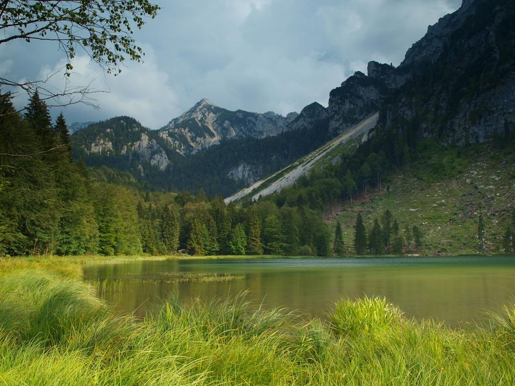 Hubertus Appartements Inzell Ngoại thất bức ảnh